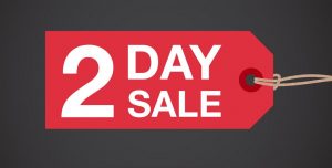 2 day Fascinator Sale