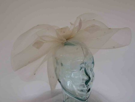 Crin fascinator with spots in champagne