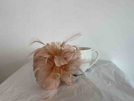Feathered fascinator in blush pink