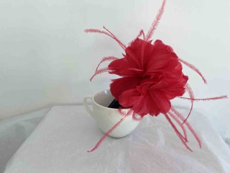 Feathered flower fascinator in carmine