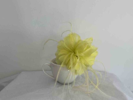 Feathered flower fascinator in citrus