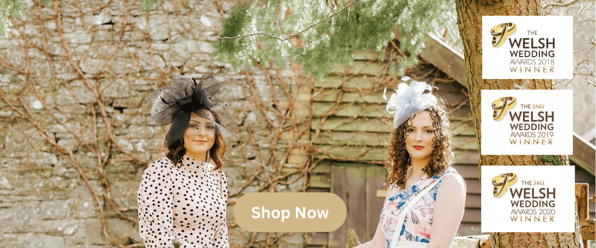 Copy-of-Shop-Now (1)
